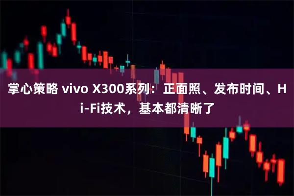 掌心策略 vivo X300系列：正面照、发布时间、Hi-Fi技术，基本都清晰了