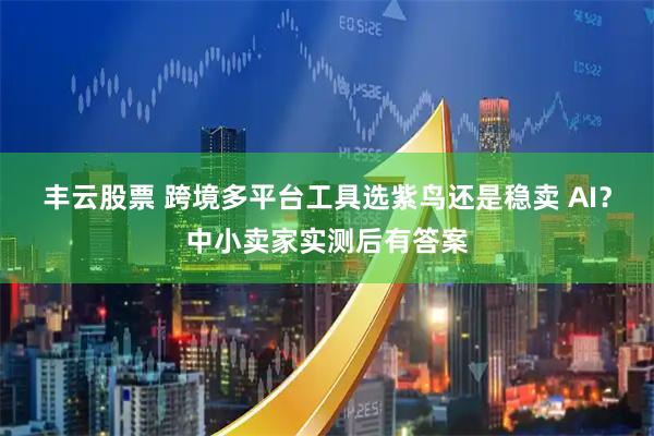 丰云股票 跨境多平台工具选紫鸟还是稳卖 AI？中小卖家实测后有答案