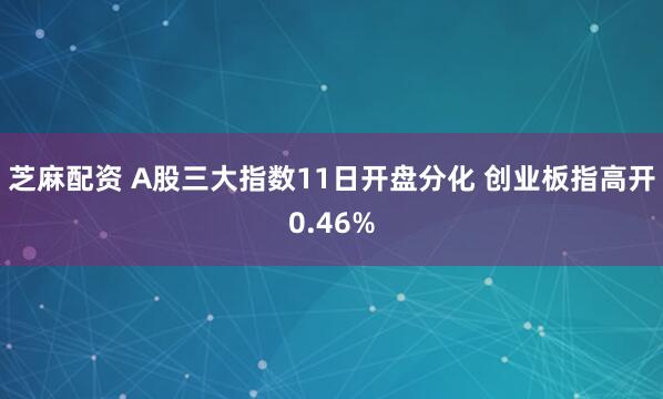 芝麻配资 A股三大指数11日开盘分化 创业板指高开0.46%