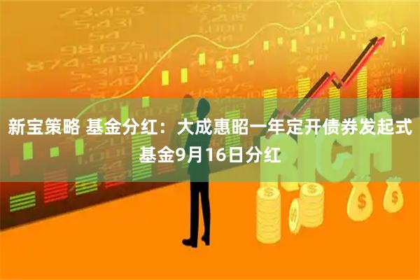 新宝策略 基金分红：大成惠昭一年定开债券发起式基金9月16日分红