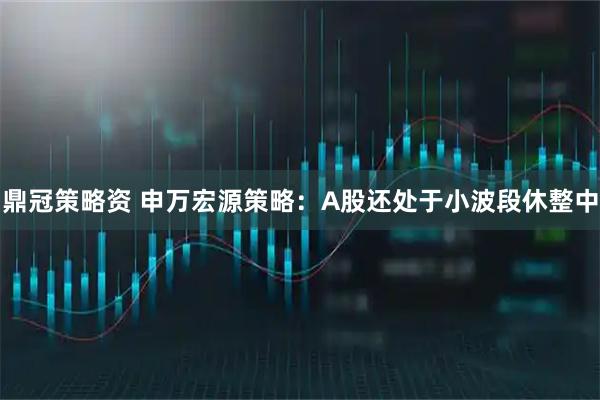 鼎冠策略资 申万宏源策略：A股还处于小波段休整中