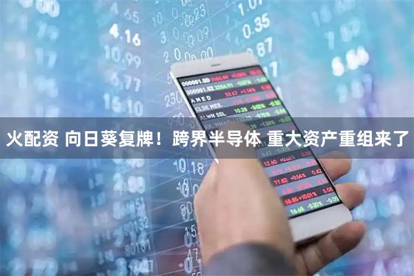 火配资 向日葵复牌！跨界半导体 重大资产重组来了