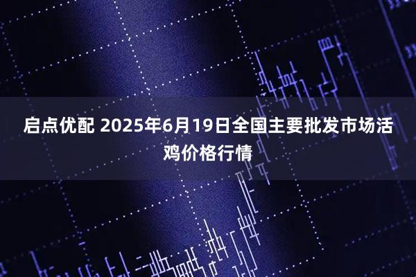 启点优配 2025年6月19日全国主要批发市场活鸡价格行情