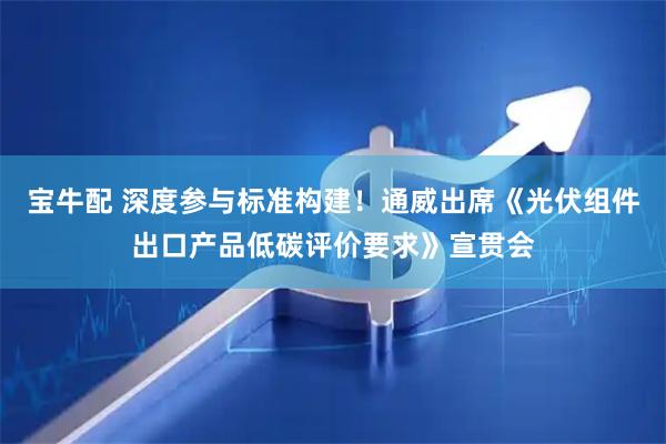 宝牛配 深度参与标准构建！通威出席《光伏组件出口产品低碳评价要求》宣贯会