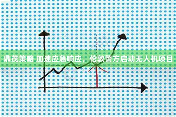 鼎茂策略 加速应急响应，伦敦警方启动无人机项目