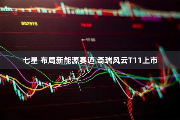 七星 布局新能源赛道 奇瑞风云T11上市