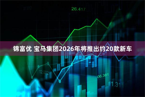 锦富优 宝马集团2026年将推出约20款新车
