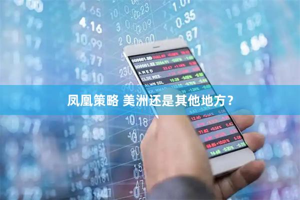 凤凰策略 美洲还是其他地方？
