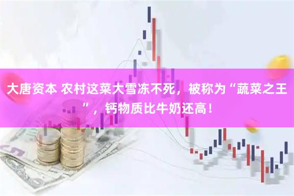 大唐资本 农村这菜大雪冻不死，被称为“蔬菜之王”，钙物质比牛奶还高！