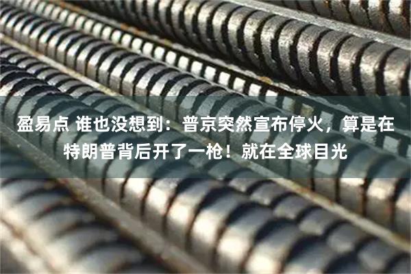 盈易点 谁也没想到：普京突然宣布停火，算是在特朗普背后开了一枪！就在全球目光